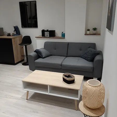 Logement Tout Confort Albi Extérieur photo