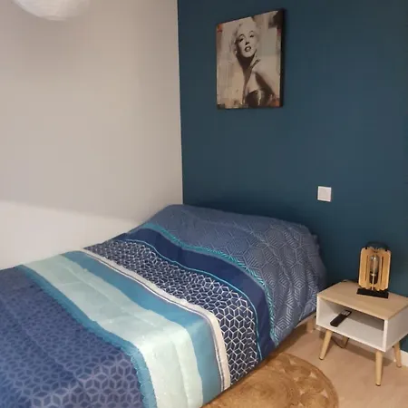Logement Tout Confort Albi Extérieur photo